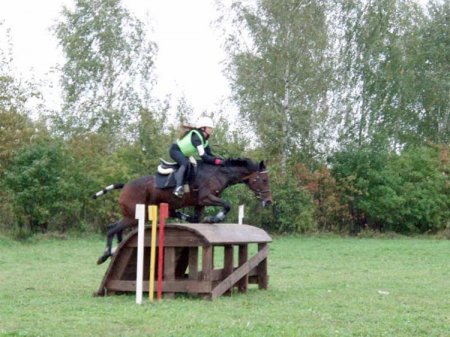 Фото лошади, прыгающей через препятствие