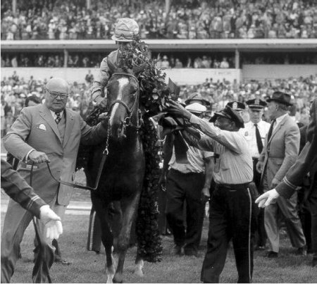 Фото лошади по кличке Нортерн Дансер (Northern dancer)