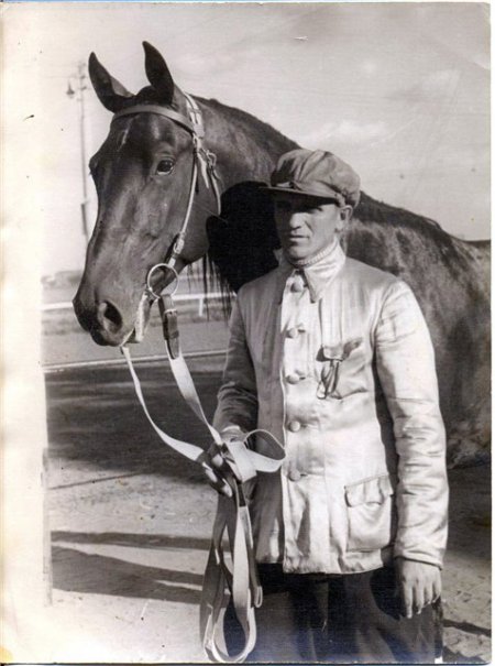 Фото лошади по кличке Квадрат
