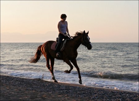 Фото лошади рыжей масти, скачущей по пляжу