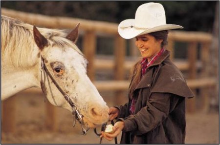 Фото девушки и лошади чубарой масти