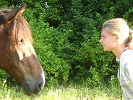 Как подружиться с лошадью