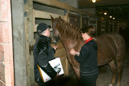С лошадкой на конюшне