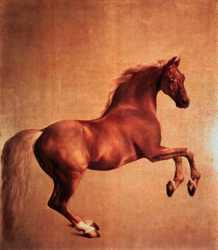 Арабский жеребец