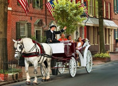 Фото лошади серой масти в упряжи