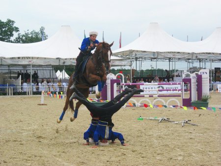 Фото лошади рыжей масти