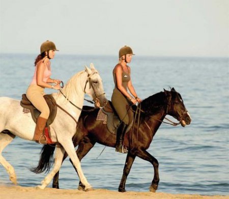 Фото двух всадников, скачущих по побережью