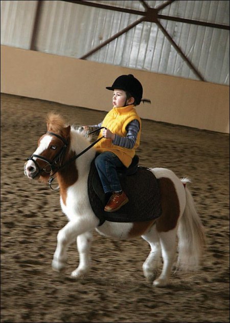 Фото мальчика верхом на рыже-пегом пони