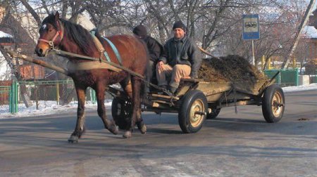 Лошадь запряженная в телегу картинки