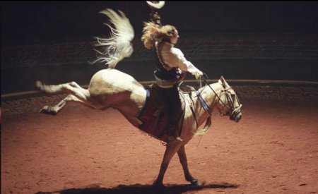 Лошадь из театра