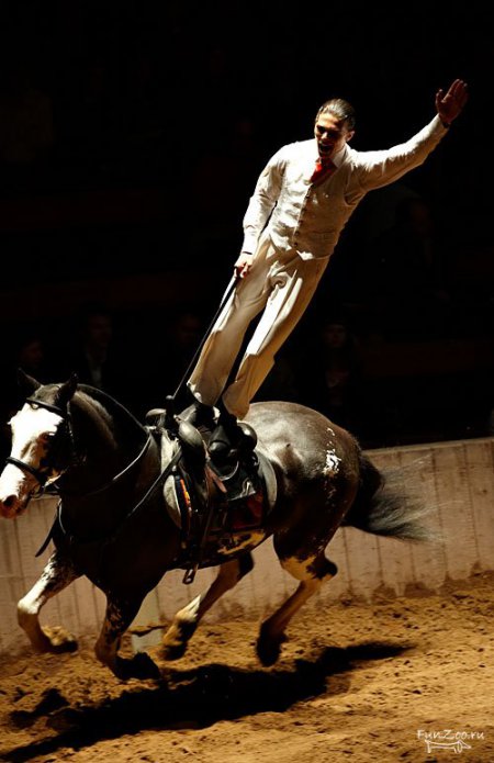 Лошадь и человек делают трюки