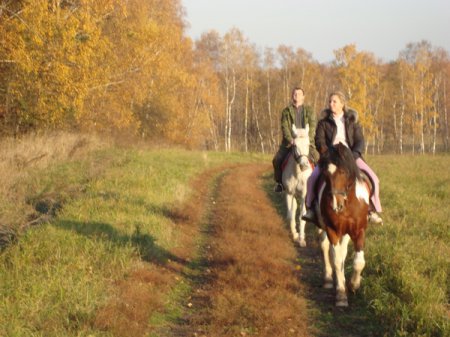 Прогулка в поле на лошадях