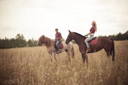 Люди верхом на лошадях в поле