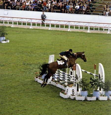 Лошадь перепрыгивает через препятствие