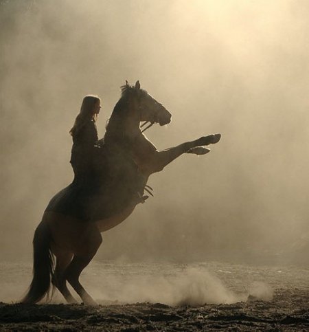 Фото лошади на свече