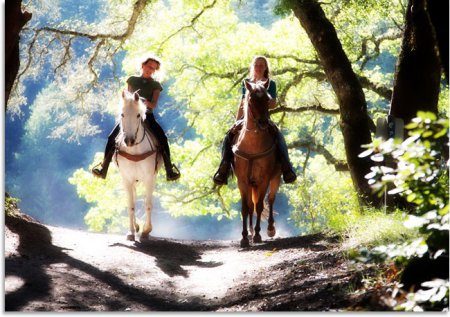 Фото двух всадниц на лошадях в лесу