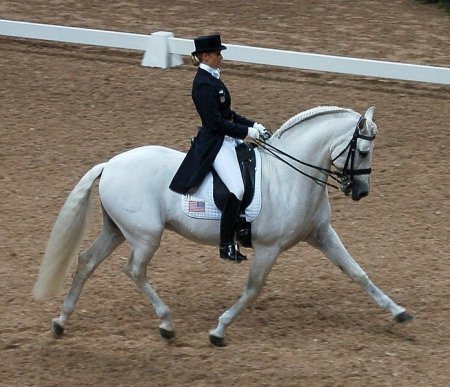 Фото соревнований по выездке