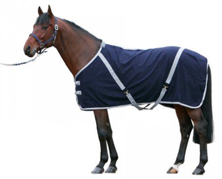 Фото лошади в попоне