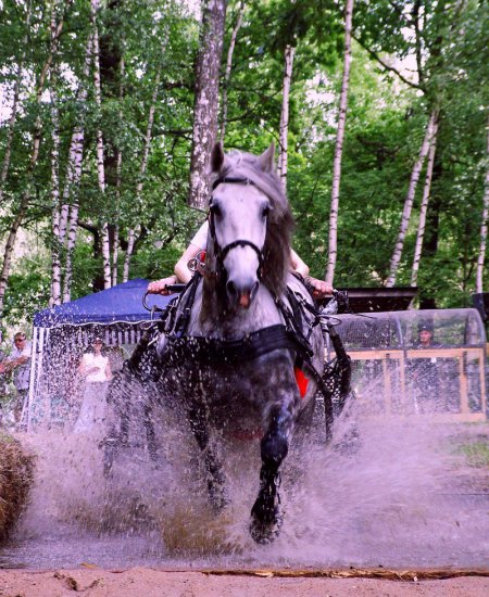 Фото драйвинга
