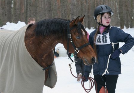 Фото девочки рядом с лошадью