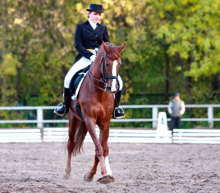 Фото выездки