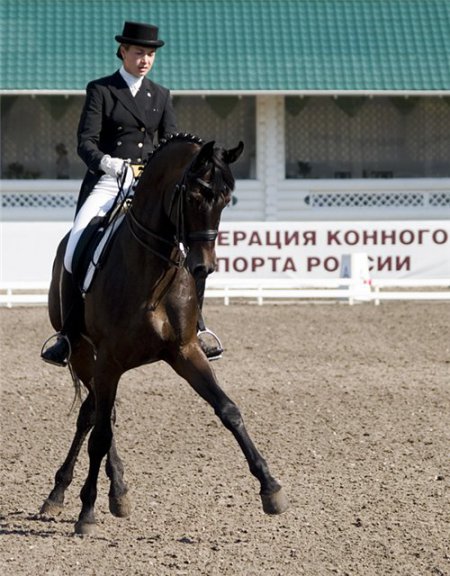 Фото выездки