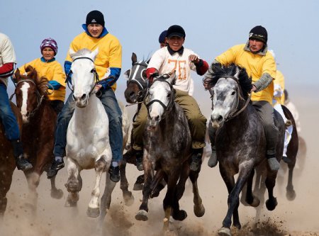 Мир конного спорта