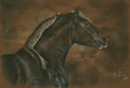 Рисунок лошади бретонской породы