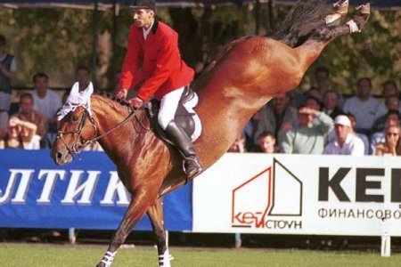 Лошадь "козлит"