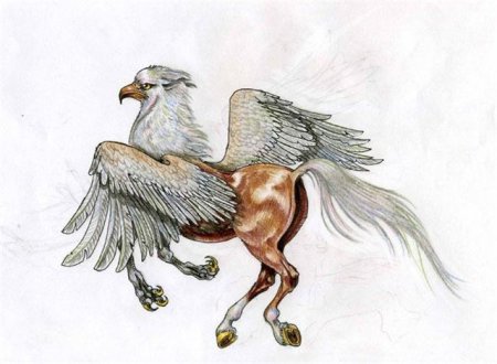 Рисунок гиппогрифа
