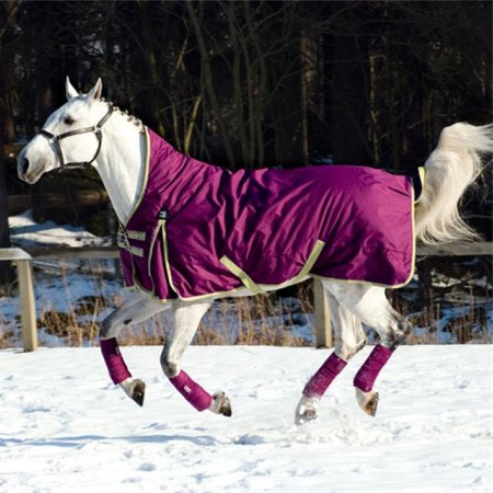 Зимние проблемы у  лошадей
