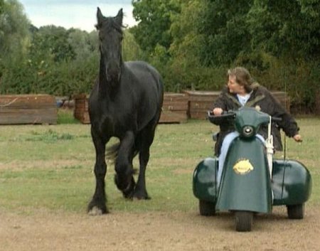 Силк Валентин (Silk Valentine) и ее конь Бико