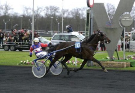 Фото лошади по кличке Варенн (Varenne)