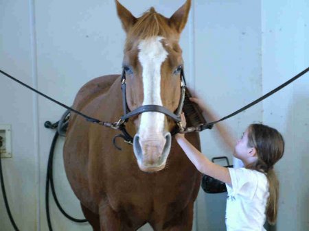 Седловка лошади