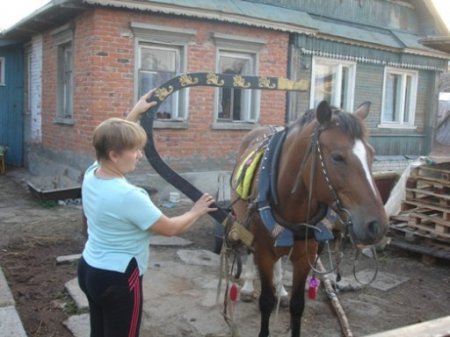 Фото запрягания лошади