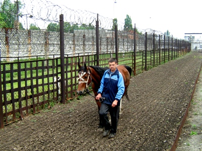 Чтобы зэки не могли сбежать, в запорожской колонии используют... лошадь