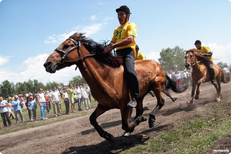 На конных соревнованиях в Аскарово пострадало четыре человека