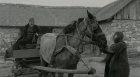 Туринская лошадь. Смотреть фильм про лошадей онлайн.