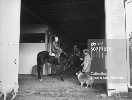 Фото лошади по кличке Келсо