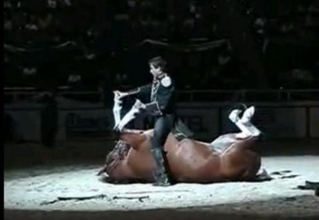 Смотреть видео про лошадей: Томми Турвей (Tommie Turvey) и его лошади