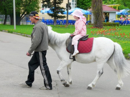 Казанцам запретили ездить в парках на пони и лошадях