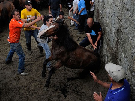 Люди против лошадей: смертельно опасный фестиваль в Сабуседо