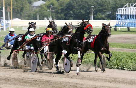 Рысистые бега