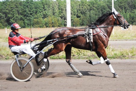 Рысистые бега