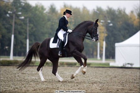 Фото выездки