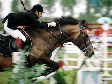Порыбачить и посмотреть соревнования по конному спорту можно будет 26-28 июля в Могилевском районе