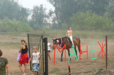 Благотворители из Бердска отремонтировали манеж в конном клубе