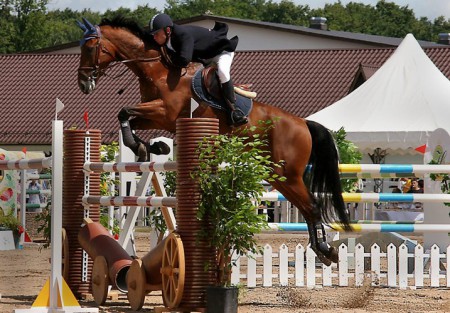 Фото конкура