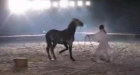 Поклонники спасают театральную лошадь от рака
