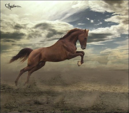 Фото лошади рыжей масти